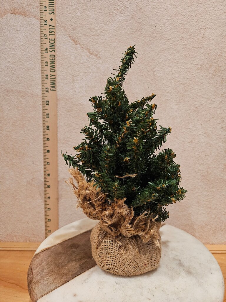 Small Evergreen Pine TREE with BURLAP for Christmas display craft