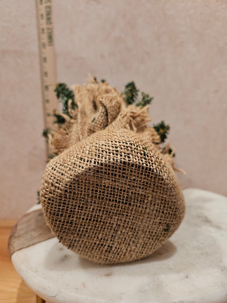 Small Evergreen Pine TREE with BURLAP for Christmas display craft