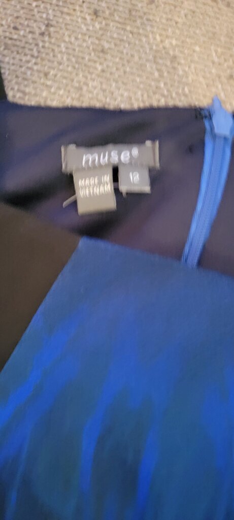Muse Women's Dress