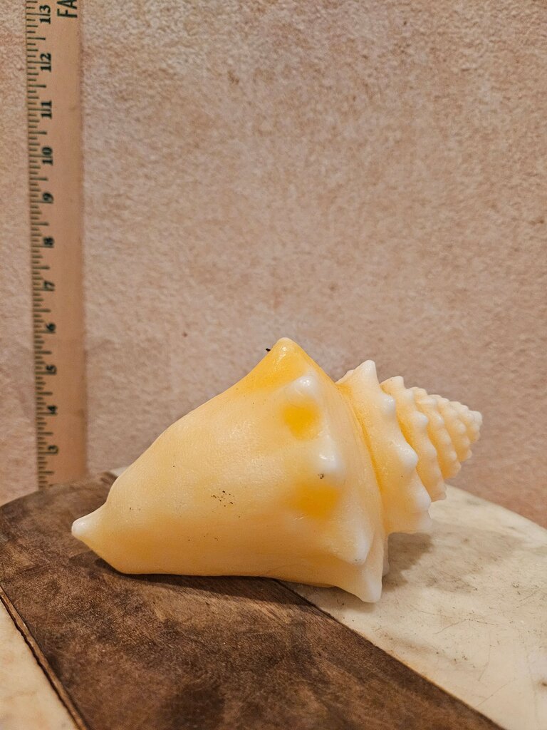 Decorative Yellow Conch Shell Never burned Candle beach boho beach house coastal decor