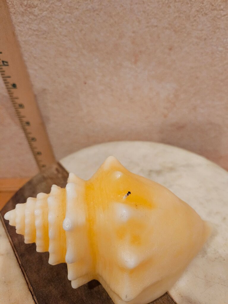 Decorative Yellow Conch Shell Never burned Candle beach boho beach house coastal decor