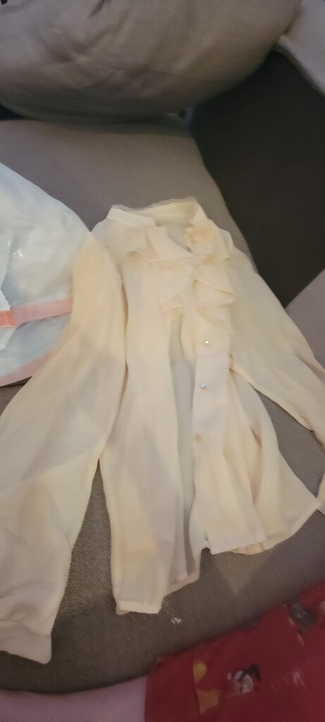 Women's Sheer Ruffle Blouse