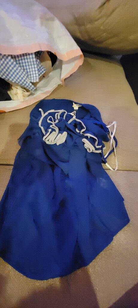 Luluman Blue Women's Dress