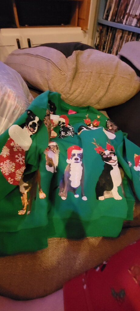 Holiday Dog Sweatshirt