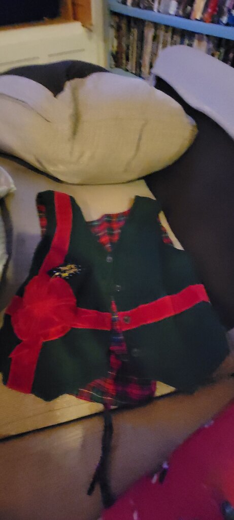 Happy Holiday Vest