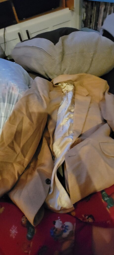 Men's Botany 500 Blazer