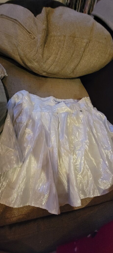 Aéropostale Metallic Skirt