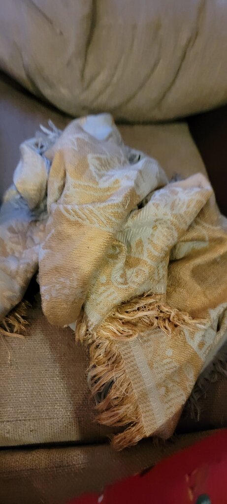 Elegant Lightweight Shawl with Fringe