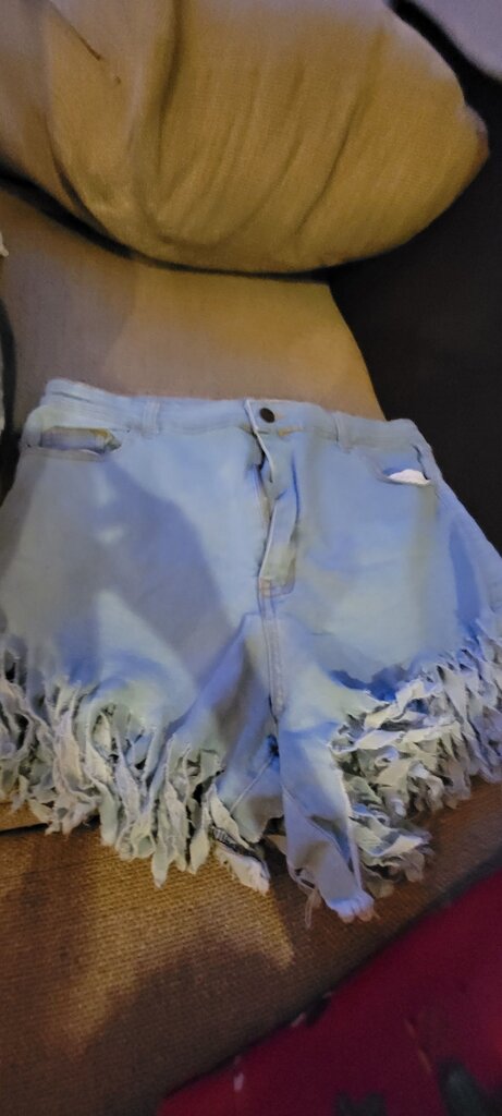Daisy Women's Torn Short Denim Shorts