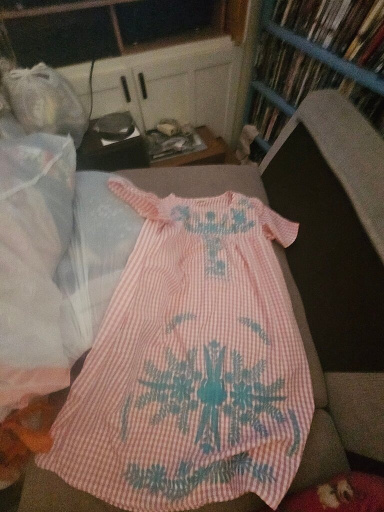 Layerz Clothing Embroidered Dress