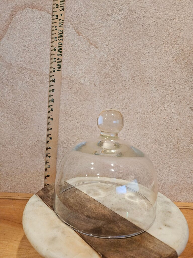 Vintage Cloche cake /cookies / cheese Dome Garden Cloche Taxidermy terrarium Science Holiday Christmas Display Dome Farmhouse