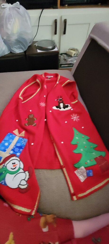 Red Christmas Holiday Sweater Vest