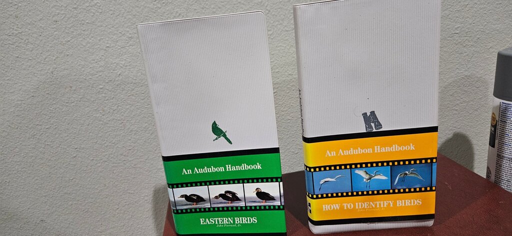 An Audubon Handbook: Eastern Birds and How to Identify Birds