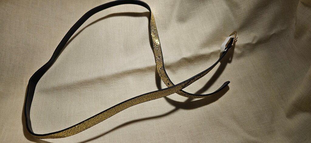 Black and Gold Fashion Belt