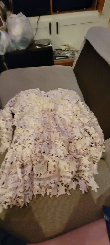 Dainty Jewells Lace Dress