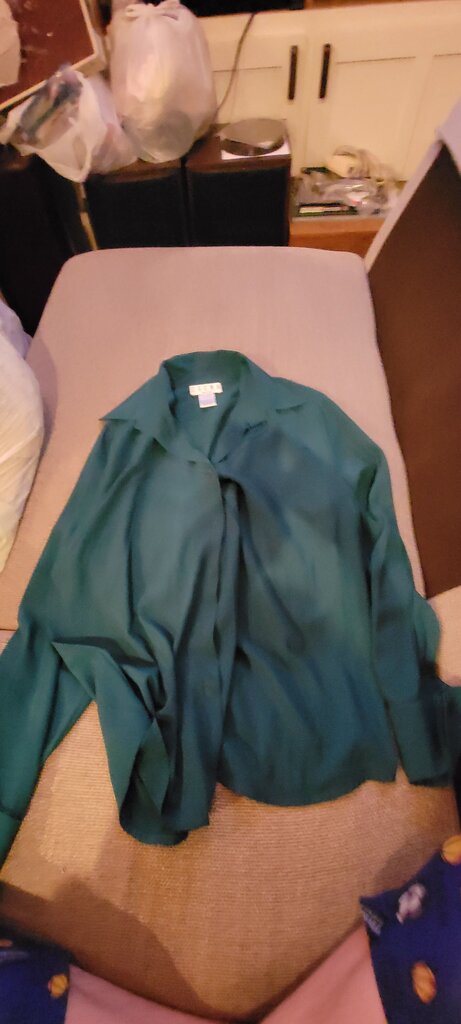 Erena Petite Green Blouse