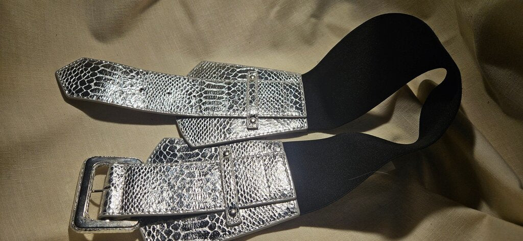 Silver Faux Leather Wide Belt
