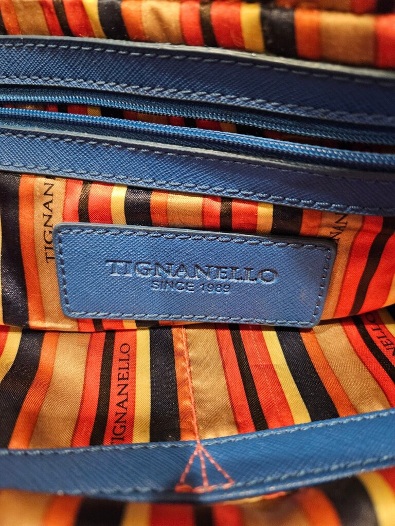 Tignanello Blue Handbag
