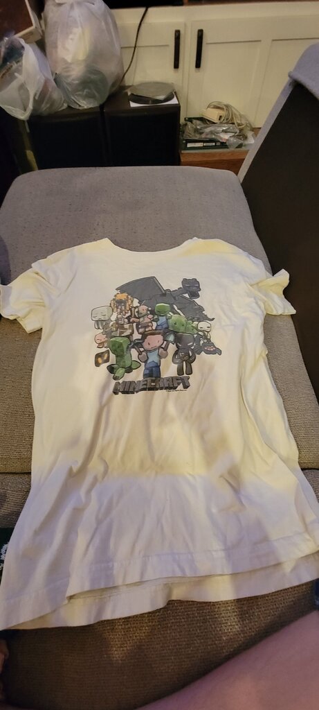 Minecraft Character T-Shirt
