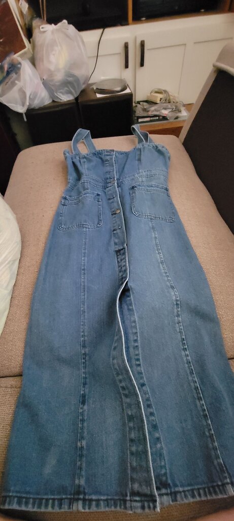 BB Dakota Denim Dress