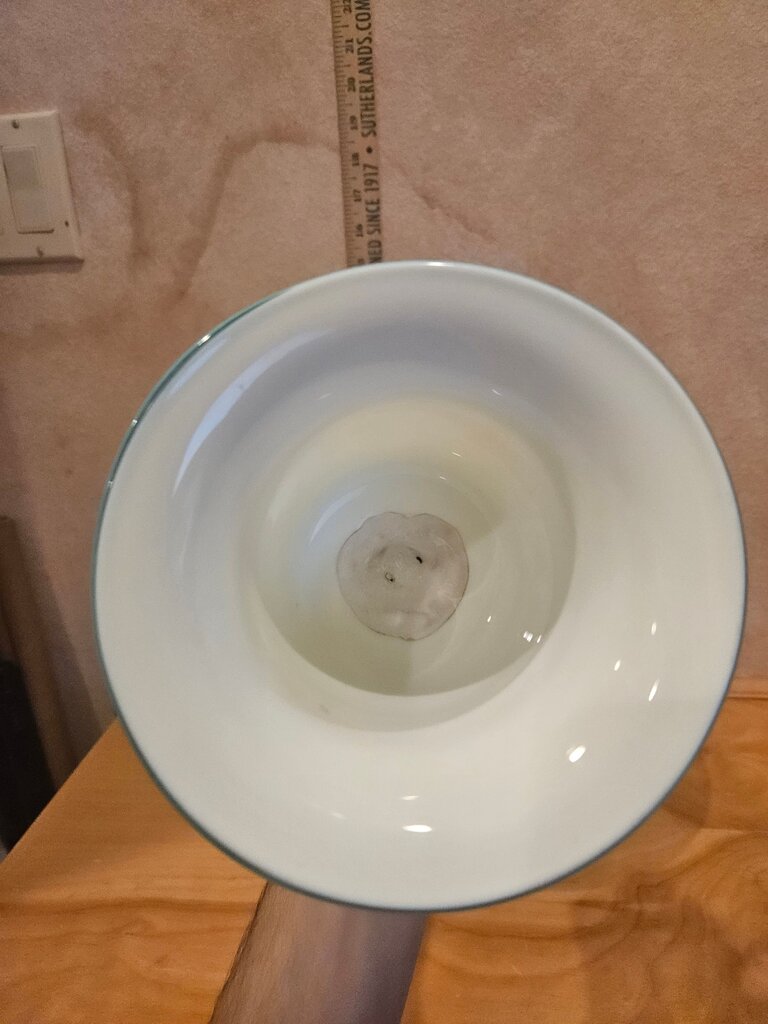 Very Unique Hard to find Victorian Hand Blown White Opaline Baby Blue Trimmed & White Glass Wedding Bell w golden yellow tip accent