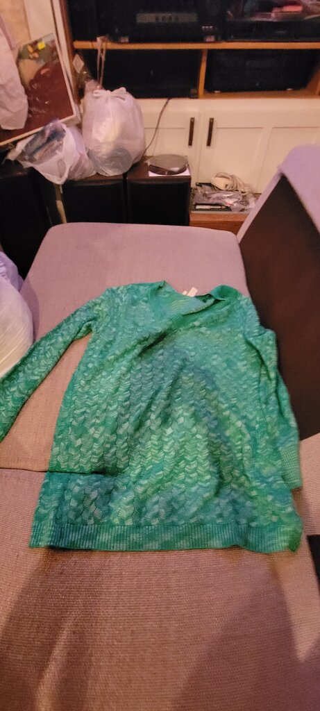 Lori Goldstein Green Sweater