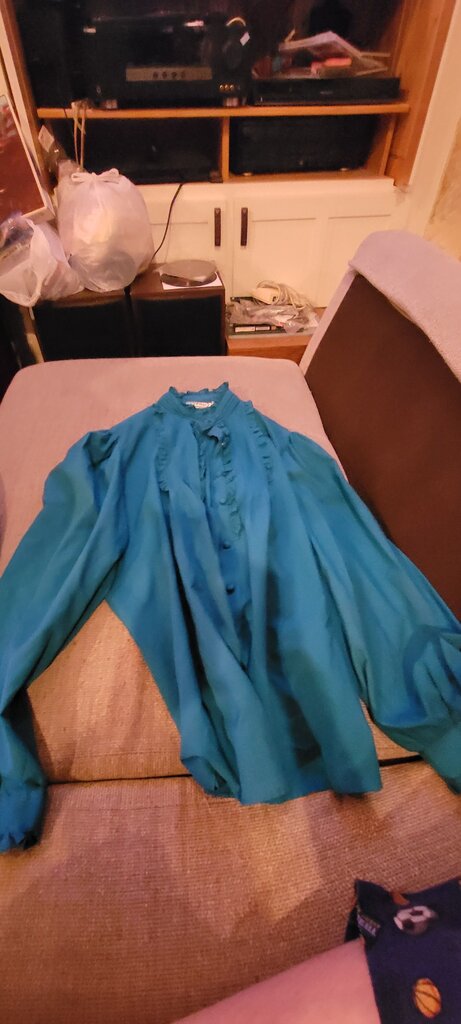 Vintage Josephine Teal Blouse