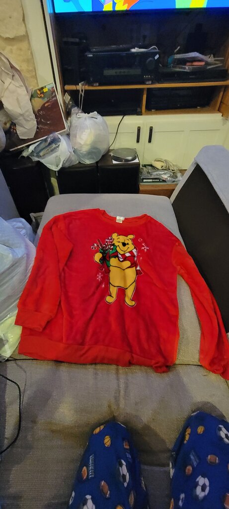 Disney Winnie the Pooh Red Sweatshirt