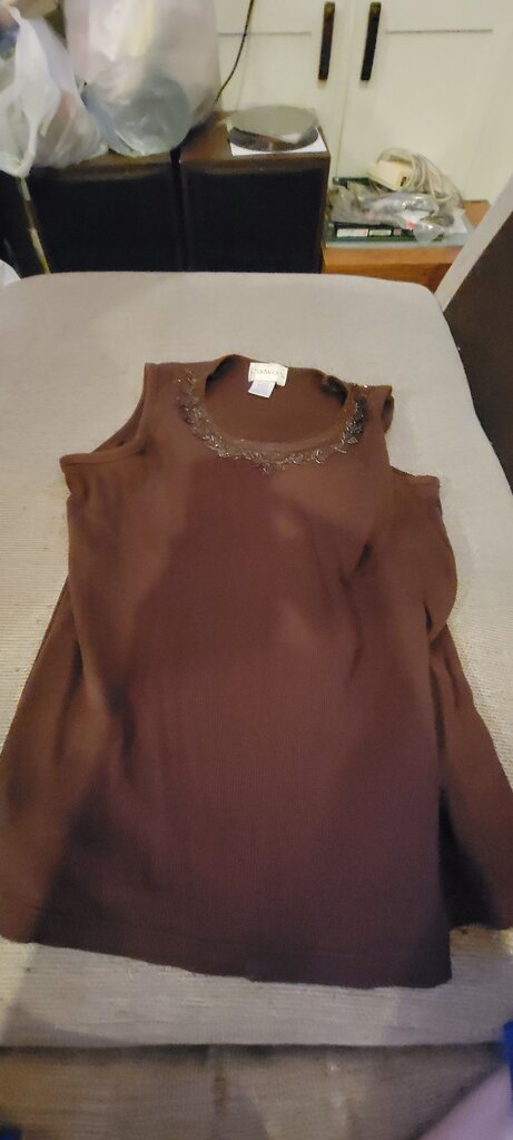 Chadwick's Brown Sleeveless Top