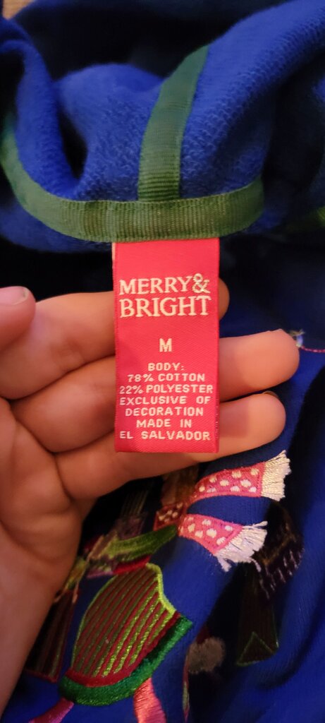 Merry & Bright Blue Hooded Sweatshirt