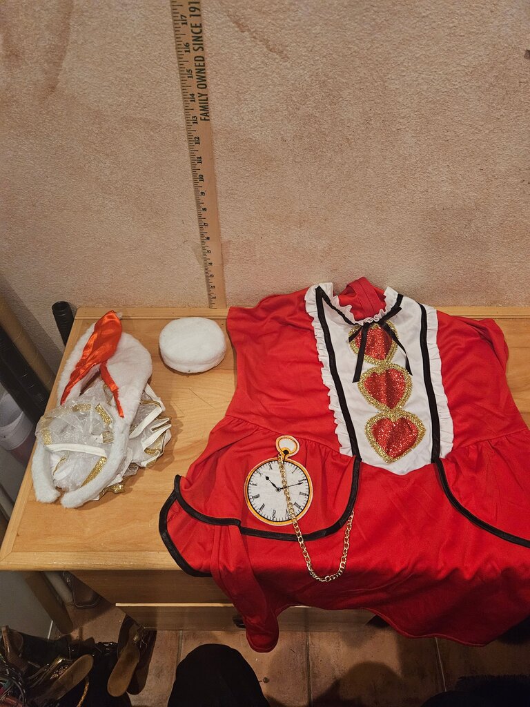 Red Heart Theme Costume Dress