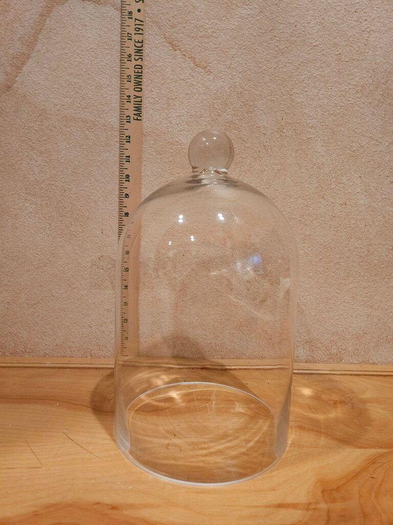Glass Cloche with Knob