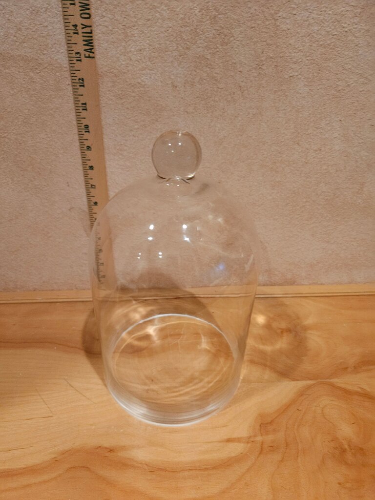Glass Cloche with Knob