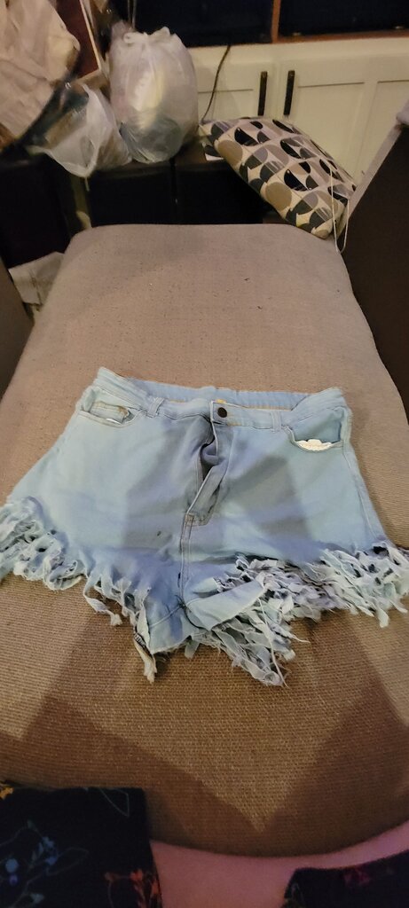 Daisy Women's Distressed Denim Shorts