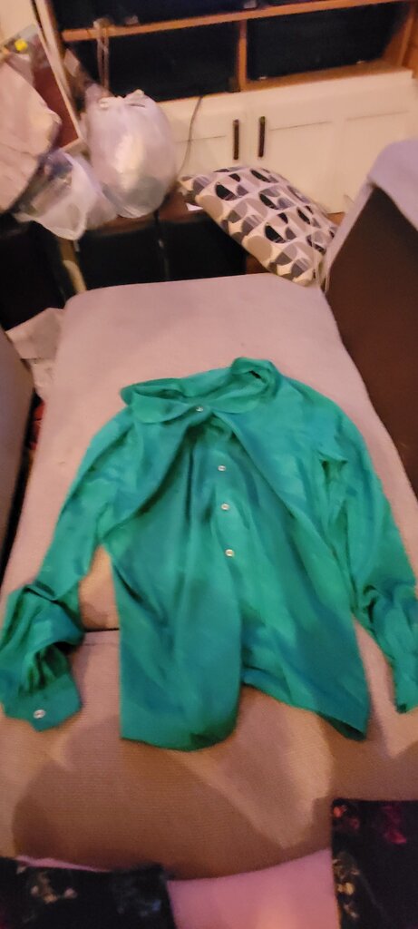 Green Button-Up Shirt