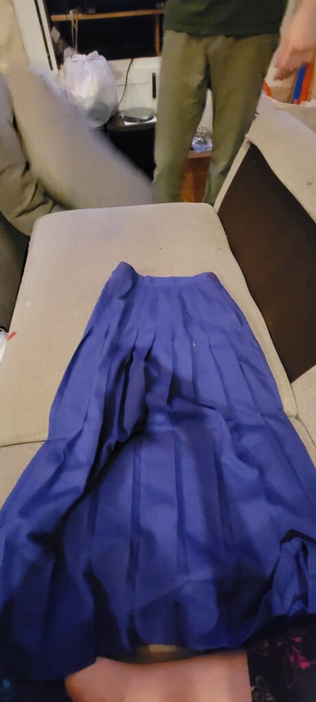 Michele Pleated Skirt