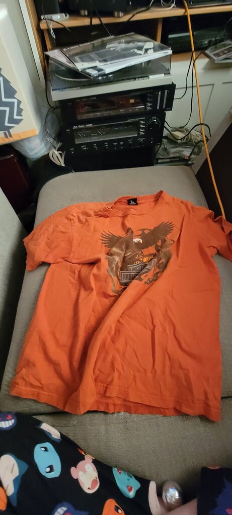 Harley-Davidson Men's XL Eagle Graphic T-Shirt