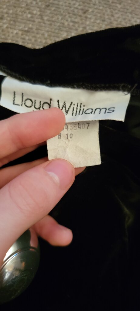 Lloyd Williams Velvet Dress