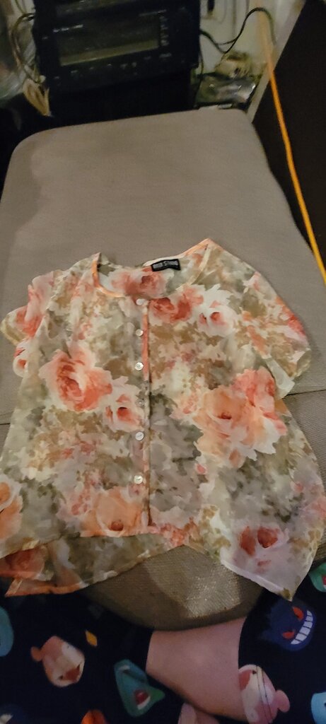 Byer Studio Floral Print Sheer Top