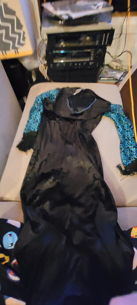 Women's Plus Size Gown