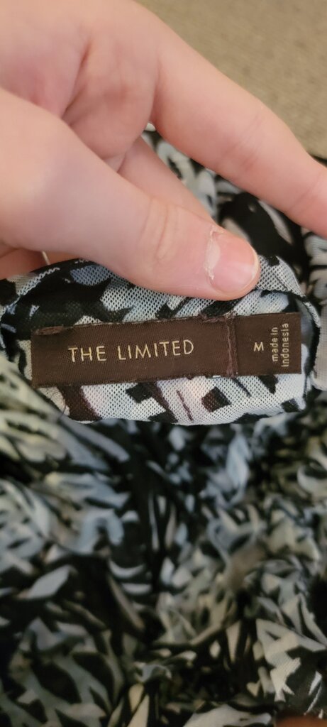 The Limited Women's Pleated Top