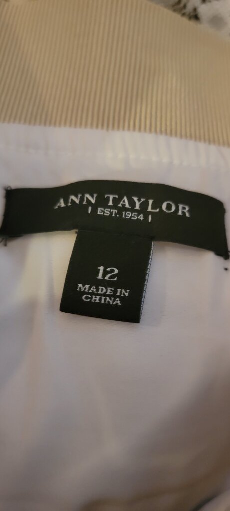 Ann Taylor Lace Skirt