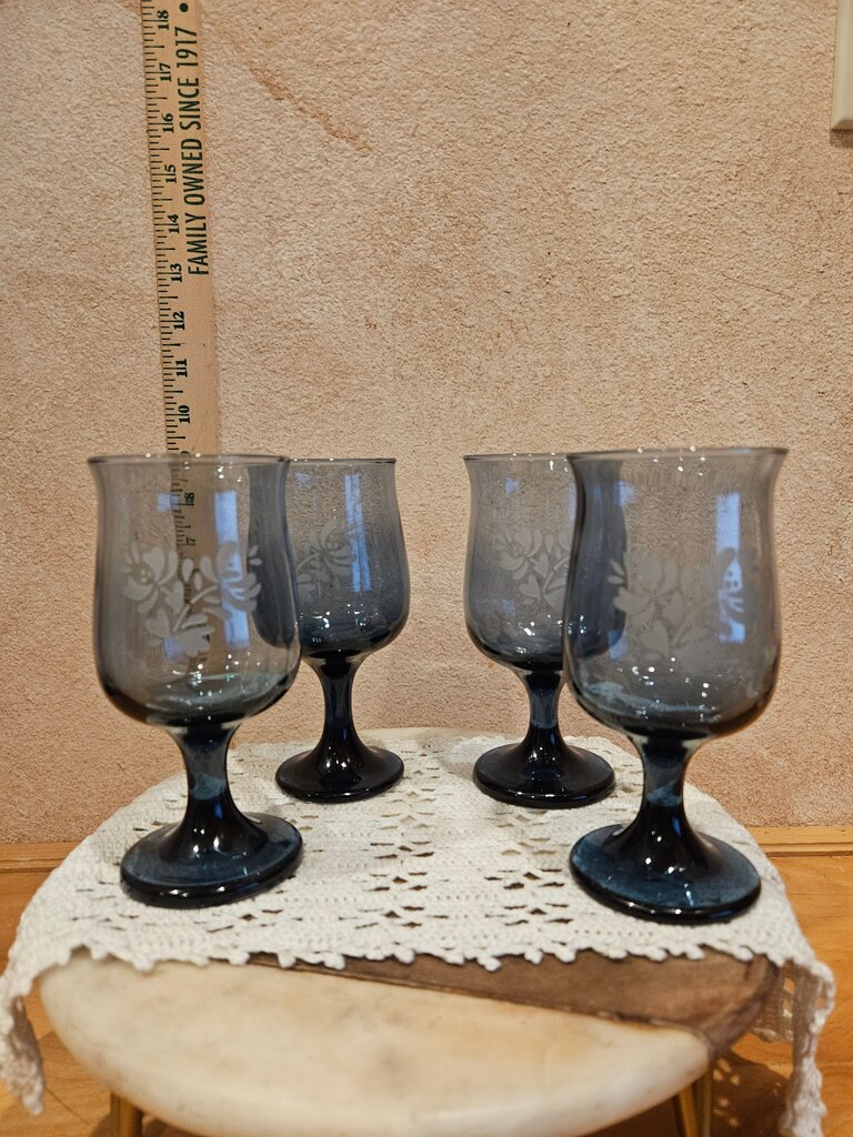 Pfaltzgraff Yorktowne Blue Frosted Etched Flowers 6 3/8” Glass Glassware Wine Water Goblet barware