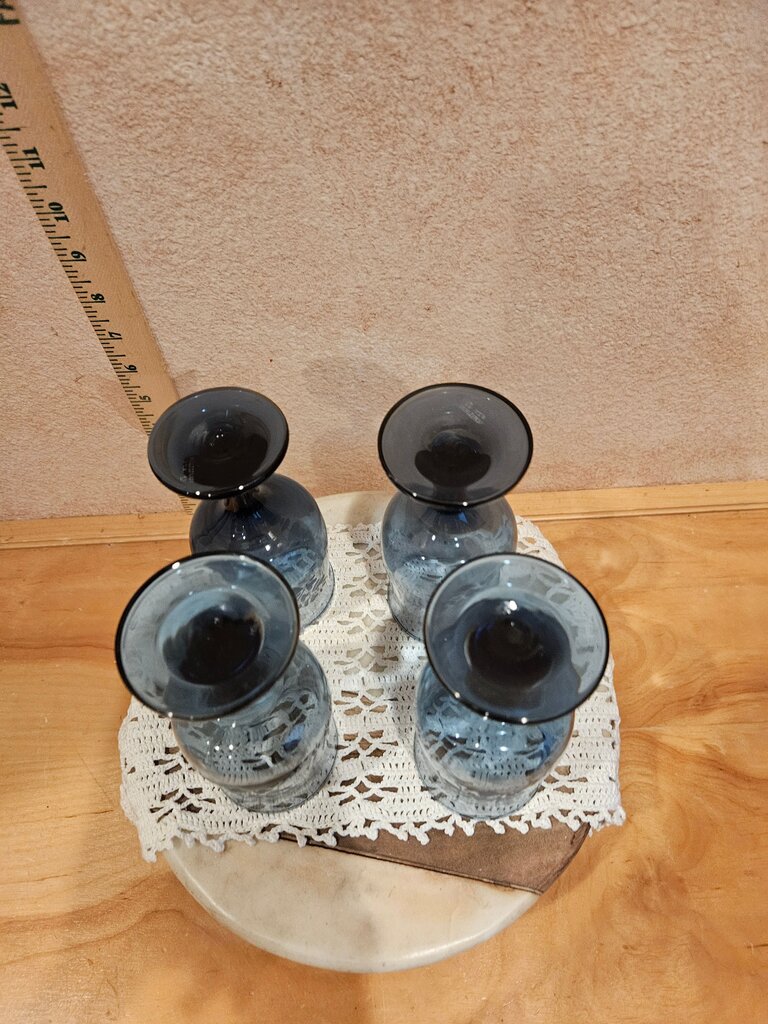 Pfaltzgraff Yorktowne Blue Frosted Etched Flowers 6 3/8” Glass Glassware Wine Water Goblet barware