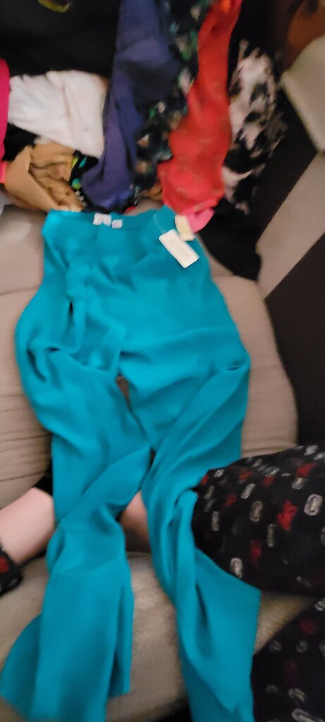 Bethany Women's Large Teal Pants