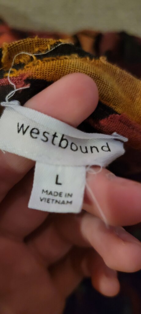 Westbound Sheer Colorful Top