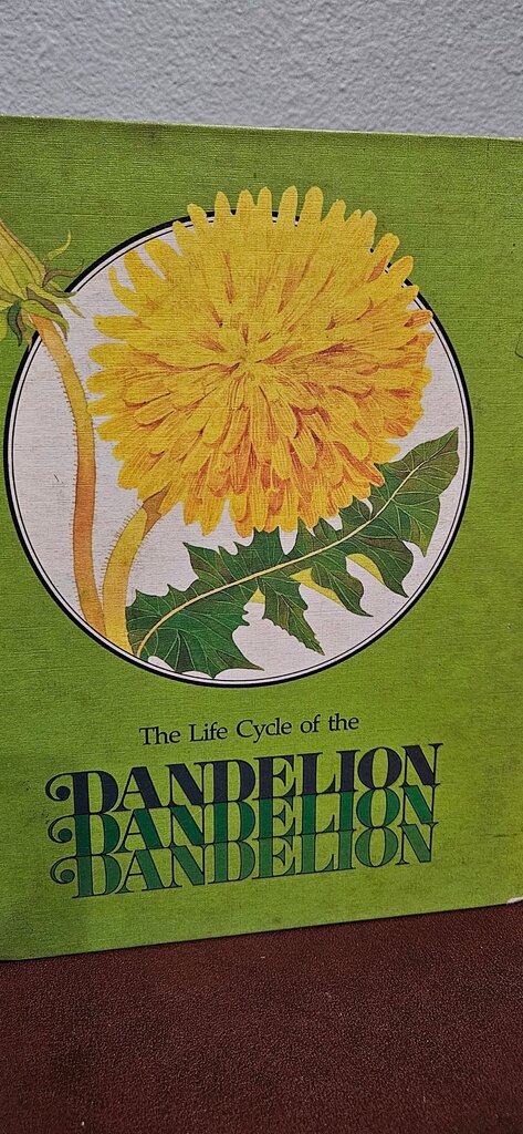 The Life Cycle of the Dandelion