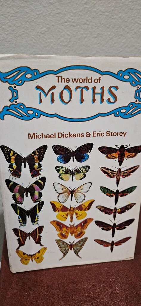 1st The World of Moths