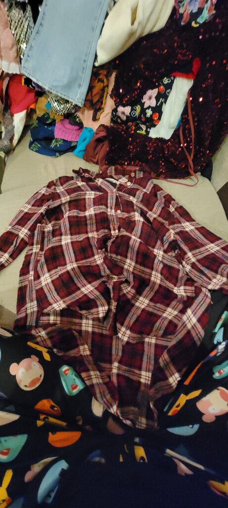American Eagle Outfitters Red Plaid Flannel Shirt